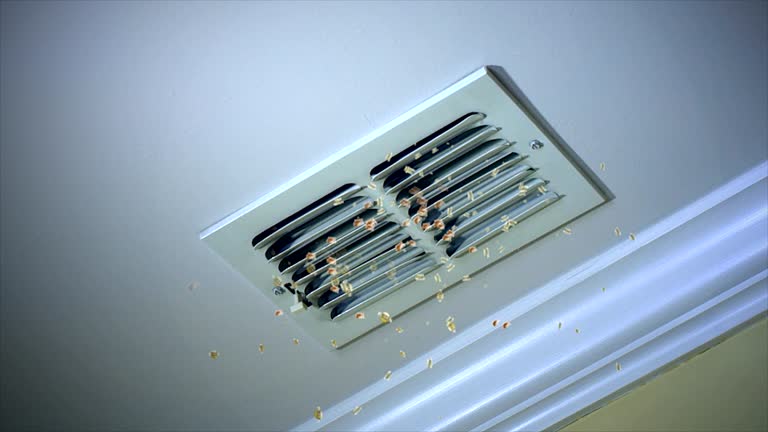 Best Professional Duct Cleaning Services  in Julian, CA