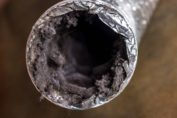 Best Commercial Air Duct Cleaning  in Julian, CA