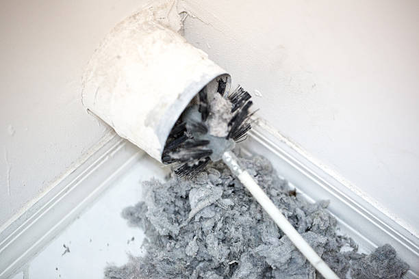 Best Local Air Duct Cleaning Services  in Julian, CA